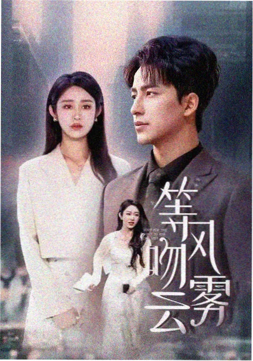 书脊上的夏天剧集在线观看